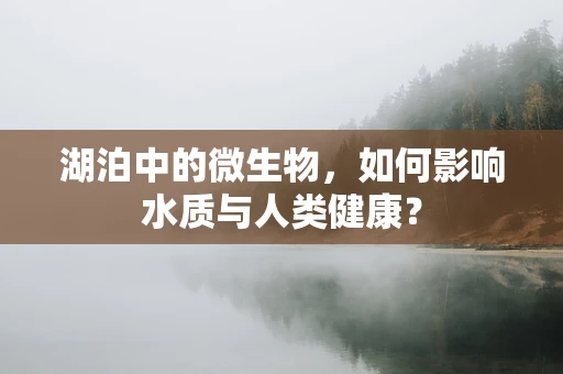 湖泊中的微生物，如何影响水质与人类健康？