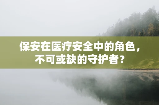 保安在医疗安全中的角色，不可或缺的守护者？