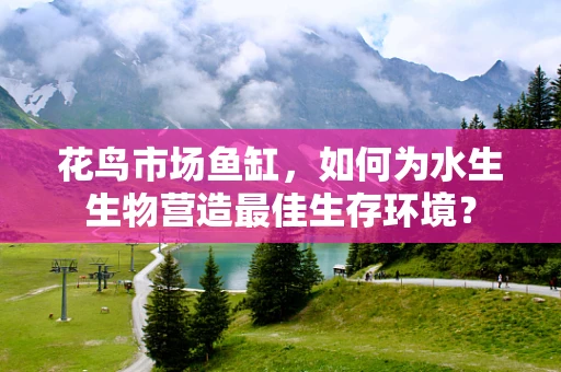 花鸟市场鱼缸，如何为水生生物营造最佳生存环境？