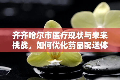 齐齐哈尔市医疗现状与未来挑战，如何优化药品配送体系？