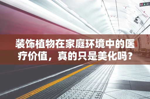 装饰植物在家庭环境中的医疗价值，真的只是美化吗？