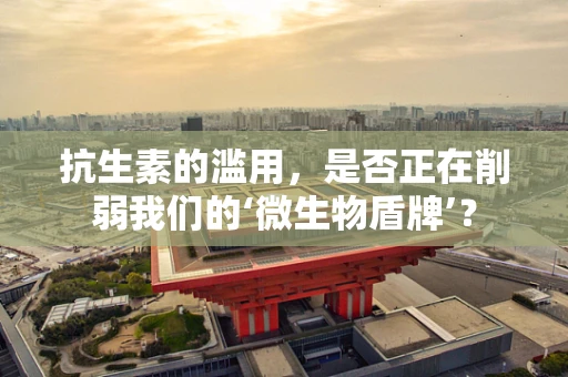 抗生素的滥用，是否正在削弱我们的‘微生物盾牌’？