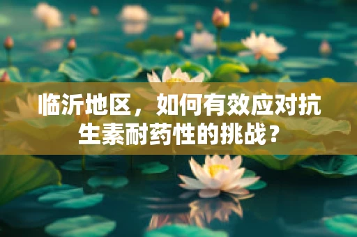 临沂地区，如何有效应对抗生素耐药性的挑战？