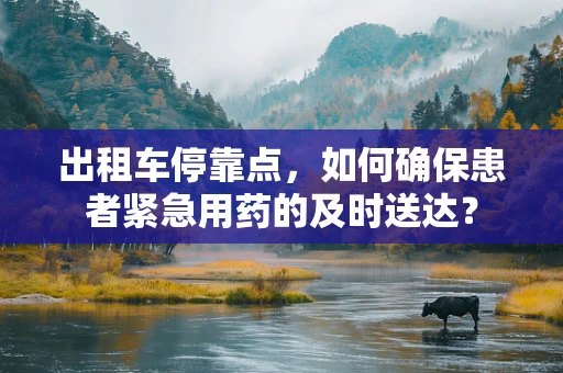 出租车停靠点，如何确保患者紧急用药的及时送达？