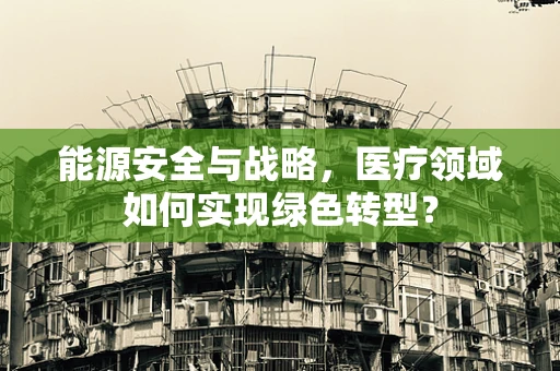 能源安全与战略，医疗领域如何实现绿色转型？