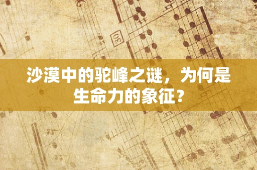 沙漠中的驼峰之谜，为何是生命力的象征？