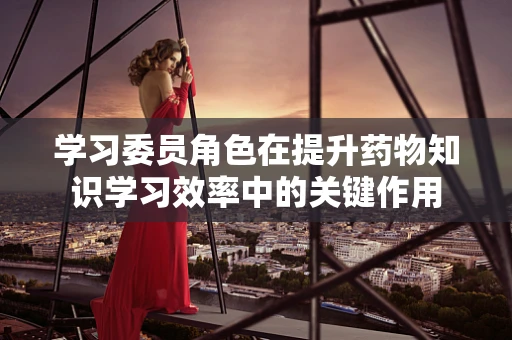 学习委员角色在提升药物知识学习效率中的关键作用