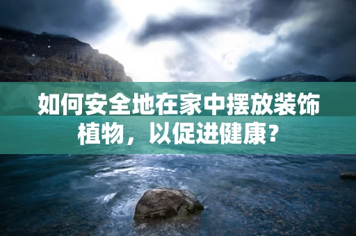 如何安全地在家中摆放装饰植物，以促进健康？