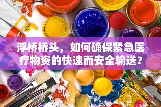 浮桥桥头，如何确保紧急医疗物资的快速而安全输送？