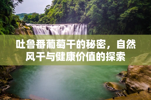 吐鲁番葡萄干的秘密，自然风干与健康价值的探索