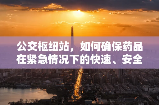 公交枢纽站，如何确保药品在紧急情况下的快速、安全运输？