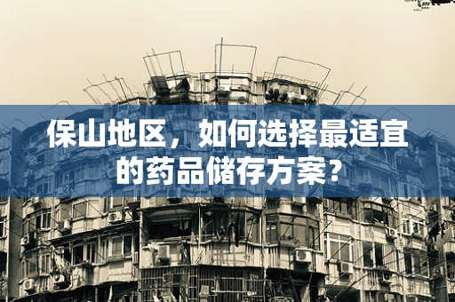 保山地区，如何选择最适宜的药品储存方案？
