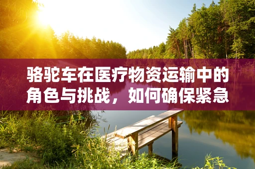 骆驼车在医疗物资运输中的角色与挑战，如何确保紧急医疗物资的沙漠之舟安全抵达？