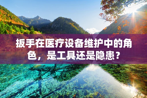 扳手在医疗设备维护中的角色，是工具还是隐患？