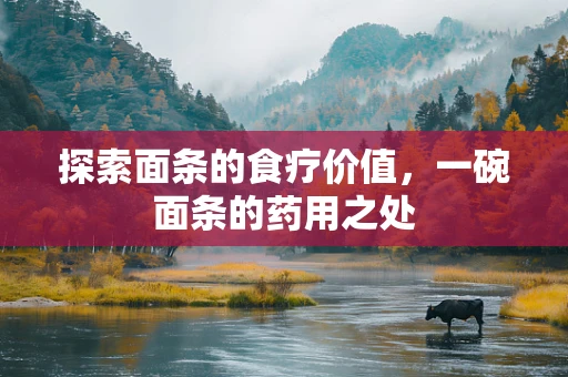 探索面条的食疗价值，一碗面条的药用之处