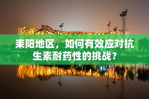 耒阳地区，如何有效应对抗生素耐药性的挑战？