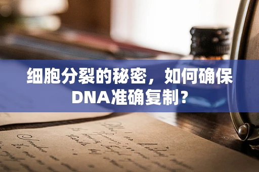 细胞分裂的秘密，如何确保DNA准确复制？