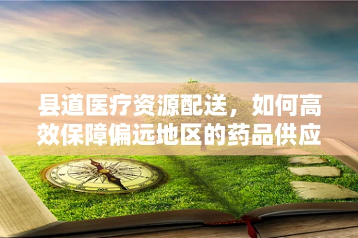 县道医疗资源配送，如何高效保障偏远地区的药品供应？
