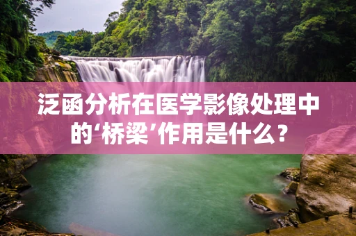 泛函分析在医学影像处理中的‘桥梁’作用是什么？