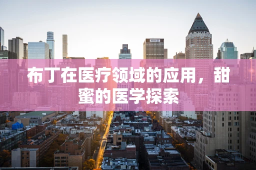 布丁在医疗领域的应用，甜蜜的医学探索