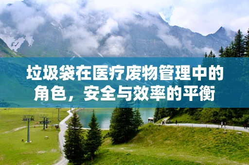 垃圾袋在医疗废物管理中的角色，安全与效率的平衡