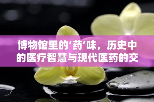 博物馆里的‘药’味，历史中的医疗智慧与现代医药的交汇