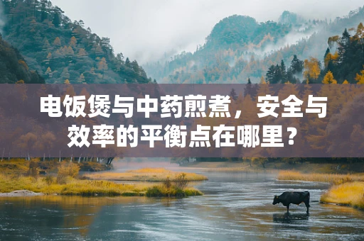 电饭煲与中药煎煮，安全与效率的平衡点在哪里？