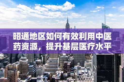 昭通地区如何有效利用中医药资源，提升基层医疗水平？