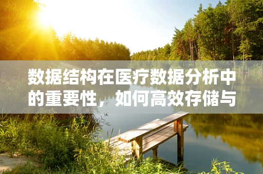 数据结构在医疗数据分析中的重要性，如何高效存储与检索患者信息？