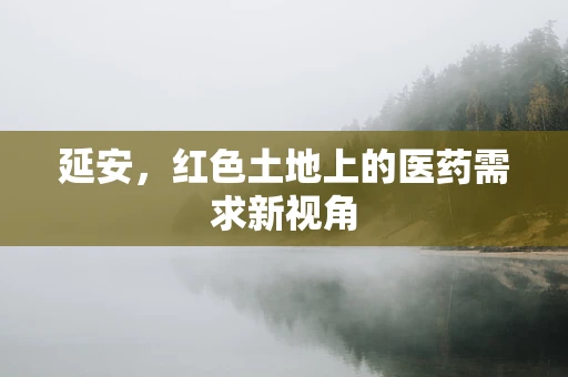 延安，红色土地上的医药需求新视角