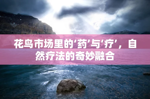 花鸟市场里的‘药’与‘疗’，自然疗法的奇妙融合
