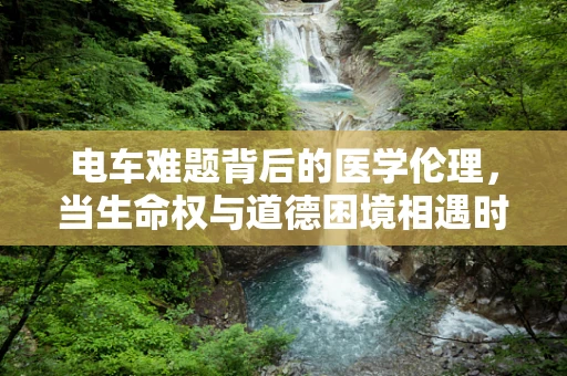电车难题背后的医学伦理，当生命权与道德困境相遇时