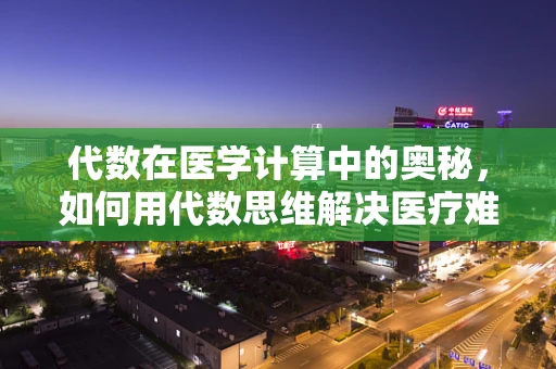 代数在医学计算中的奥秘，如何用代数思维解决医疗难题？
