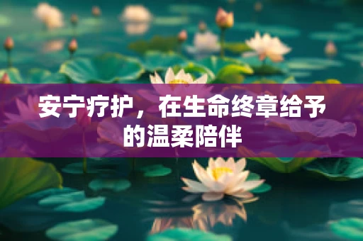 安宁疗护，在生命终章给予的温柔陪伴