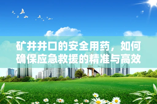 矿井井口的安全用药，如何确保应急救援的精准与高效？