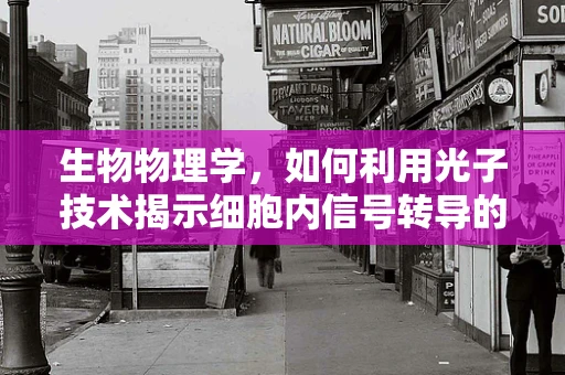 生物物理学，如何利用光子技术揭示细胞内信号转导的秘密？