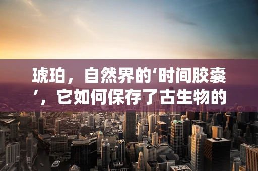 琥珀，自然界的‘时间胶囊’，它如何保存了古生物的秘密？