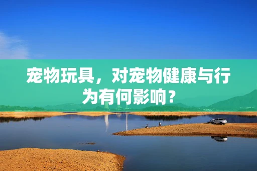 宠物玩具，对宠物健康与行为有何影响？
