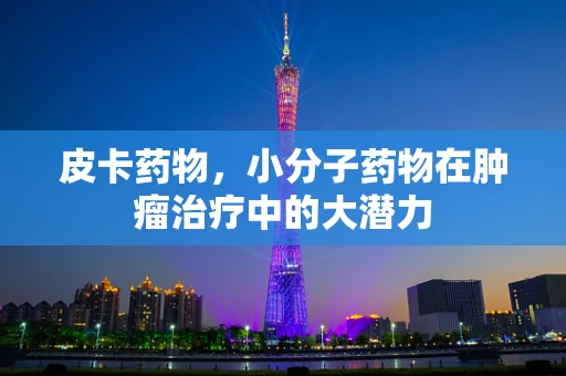 皮卡药物，小分子药物在肿瘤治疗中的大潜力