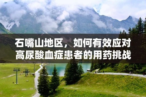 石嘴山地区，如何有效应对高尿酸血症患者的用药挑战？
