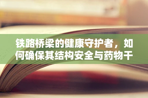 铁路桥梁的健康守护者，如何确保其结构安全与药物干预的巧妙结合？