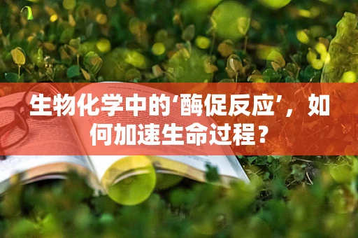 生物化学中的‘酶促反应’，如何加速生命过程？