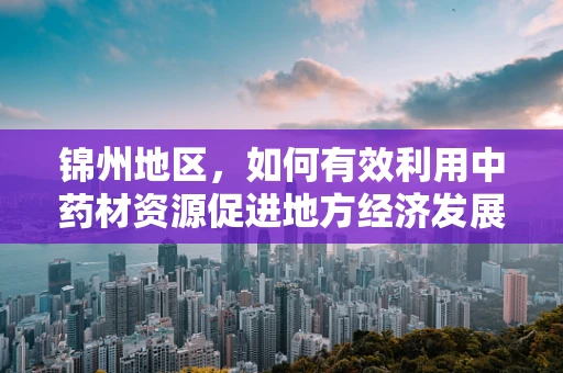 锦州地区，如何有效利用中药材资源促进地方经济发展？