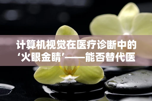 计算机视觉在医疗诊断中的‘火眼金睛’——能否替代医生的专业判断？