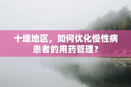 十堰地区，如何优化慢性病患者的用药管理？