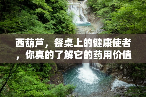 西葫芦，餐桌上的健康使者，你真的了解它的药用价值吗？