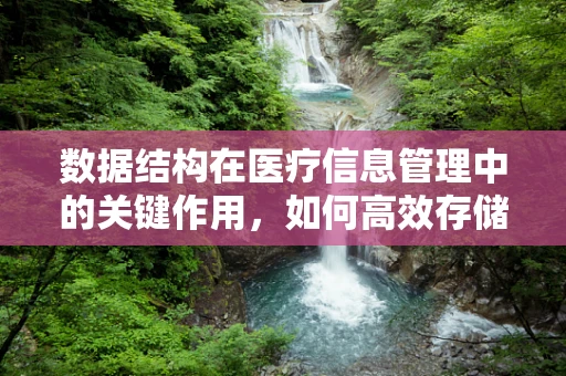 数据结构在医疗信息管理中的关键作用，如何高效存储与检索患者信息？