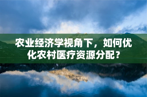农业经济学视角下，如何优化农村医疗资源分配？