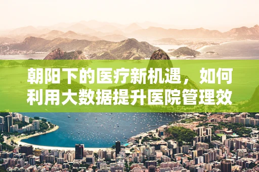 朝阳下的医疗新机遇，如何利用大数据提升医院管理效率？