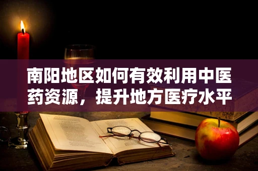 南阳地区如何有效利用中医药资源，提升地方医疗水平？